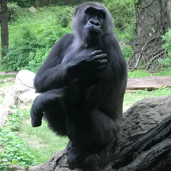 Profile Picture of Matthew Urove (@matthewurove23) on Poshmark