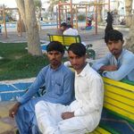 Riaz Shareef - Instagram Profile Picture of Riaz Shareef (@riaz.shareef.50) on Instagram