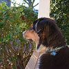 Profile Picture of aclinkscales514 (@aclinkscales514) on Flickr