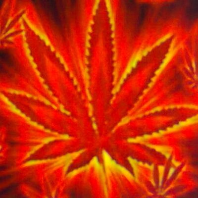 Profile Picture of Thomas Licata (@licata_thomas) on Twitter