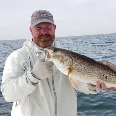 Profile Picture of Ted Moore (@tmoore912) on Twitter