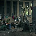 Profile Picture of Jason Agresti (@thecisgenders) on Instagram