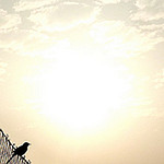 Profile Picture of I. Alex C. (@I. Alex C.) on Flickr