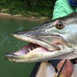 Profile Picture of Chris Willen (@cwguide) on Instagram