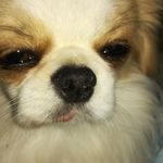 Profile Picture of Melinda Mancini (@mancini.melinda) on Instagram