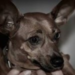 Profile Picture of Domenico Mazzaferro (@mazzaferro.domenico) on Instagram