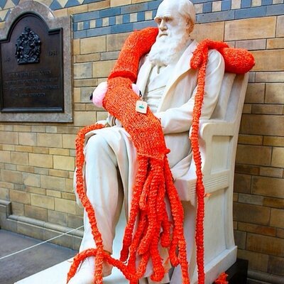 Profile Picture of Plarchie Knitshadeon Twitter