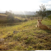 Profile Picture of Astrid Lorena Tavera Gaitan (@astridlorenataveragaitan9903) on Youtube