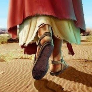 Rosa Elena Yanes - Twitter Profile Picture of Rosa Elena Yanes (@RosaElenaYanes) on Twitter