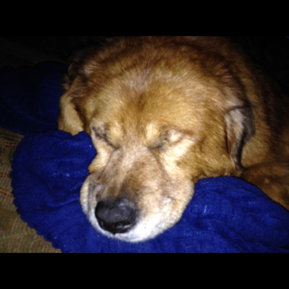 Profile Picture of Tyler Will (@tylerw10030) on Poshmark