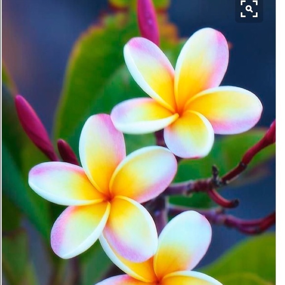 Profile Picture of Hunter Pool (@lancer11) on Poshmark