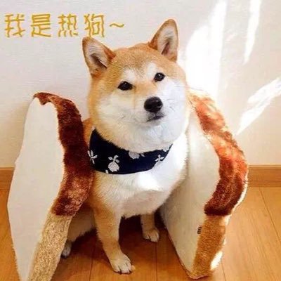 Lawrence Liao - Twitter Profile Picture of Lawrence Liao (@LawrenceLiao3) on Twitter