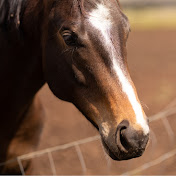 Profile Picture of Akamu (@Akamudotcom) on Youtube