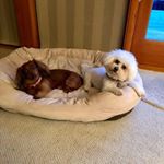 Profile Picture of Scott Raines (@scott.raines.96) on Instagram