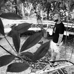 Profile Picture of Luis Jose Perez (@tom_luisjose) on Instagram