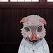 Profile Picture of Ava Simpson (@ava587768) on Pinterest
