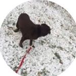 Profile Picture of Caleb Hale (@yea_its_caleb) on Instagram