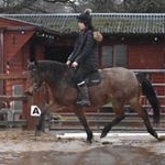 Profile Picture of Hannah & Strawbs❤️ (@newforest.strawbs) on Instagram