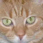 Profile Picture of Manon Therrien (@extraterrienne7) on Instagram