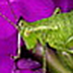 Jean - Flickr Profile Picture of Jean (@jeandeboo) on Flickr