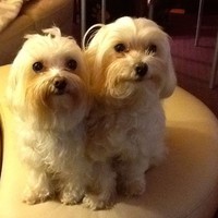 Profile Picture of Mickey Wright (@mickey-wright-14) on Quora