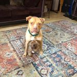 Lynn Lennon - Instagram Profile Picture of Lynn Lennon (@lynn.lennon.520) on Instagram