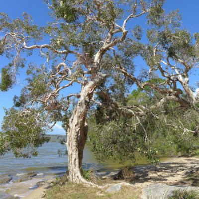 Profile Picture of Michelle Hayes (@Michell74852531) on Twitter