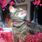 Profile Picture of Lilian Gabi (@Lilian-Gabi) on Facebook