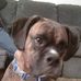 Profile Picture of Cindy Shellenbarger (@cindy.shellenbarger.3) on Facebook
