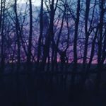 Profile Picture of 🦄Brooke And Josey🦄 (@picture._.post) on Instagram