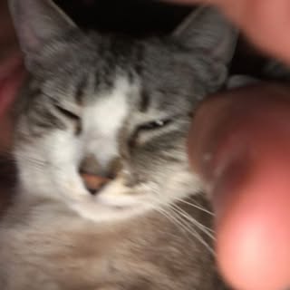 GabrieL 🦖 - Instagram Profile Picture of GabrieL 🦖 (@gabrielcrown_) on Instagram