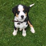 Profile Picture of Bon-keefer (@keef_denise) on Instagram