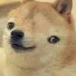 Profile Picture of Brian Beheshti (@bananernanner) on Instagram