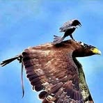 Profile Picture of Billy Keith (@Billy-Keith) on Facebook