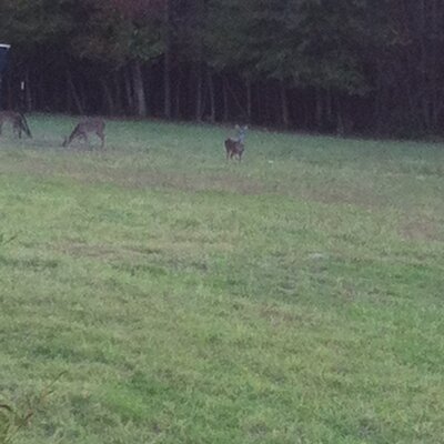 Profile Picture of Jeffrey Luke Dingler (@DinglerLuke) on Twitter