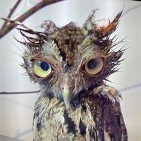 Profile Picture of Peter Baldi (@peter-baldi-4) on Quora