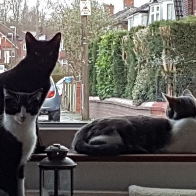 Profile Picture of Amanda Reid (@AmandaR_EA) on Twitter