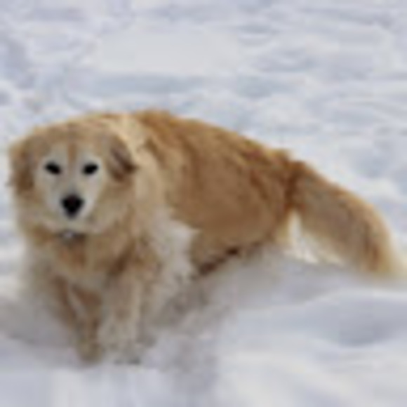 Profile Picture of Catherine Kregel (@catherinekregel) on Poshmark