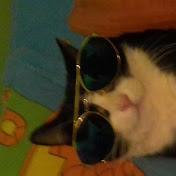 Kevin Heit Velez - Youtube Profile Picture of Kevin Heit Velez (@kevinheitvelez693) on Youtube