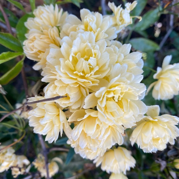 Profile Picture of Borah Nam (@borahnam) on Poshmark