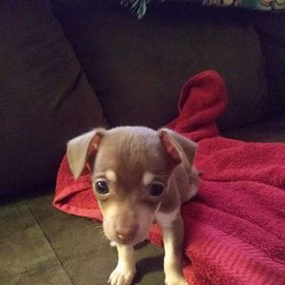 Profile Picture of Connie James (@connie.james.773776) on Facebook