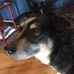 Profile Picture of Michael Brodrick (@michael.brodrick.16) on Facebook