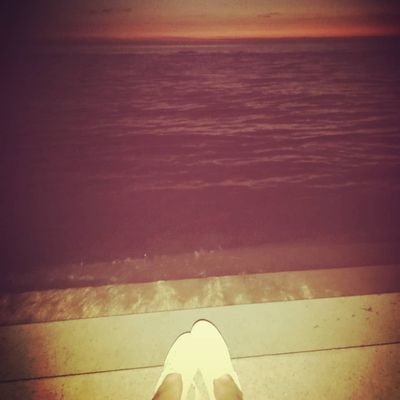 Profile Picture of Stephanie Trapp (@StephyTrapp) on Twitter