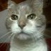 Profile Picture of Michael Viselli (@michael.viselli) on Facebook