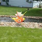 Profile Picture of Michael Vacha (@vachamichael) on Instagram