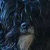 Profile Picture of Michael Wiley (@michael.wiley.35325074) on Facebook