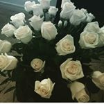 Profile Picture of Rosa (@rosa.mckayla) on Instagram