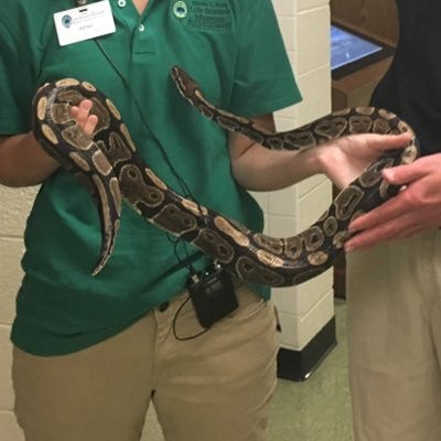 Profile Picture of Corey Peyton Jones (@jones_Corey97) on Twitter