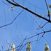 Profile Picture of Heather Stevenson (@heatherstevenson3839) on Youtube