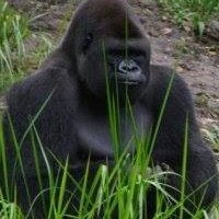 Profile Picture of Justin Durrant (@justin-durrant-5) on Quora